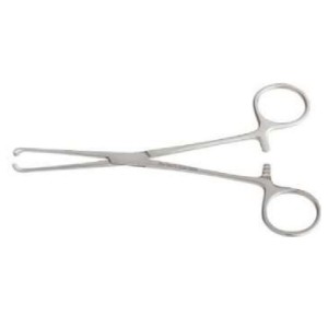 Pinza intestinale