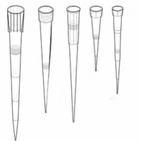 Puntali micropipette 